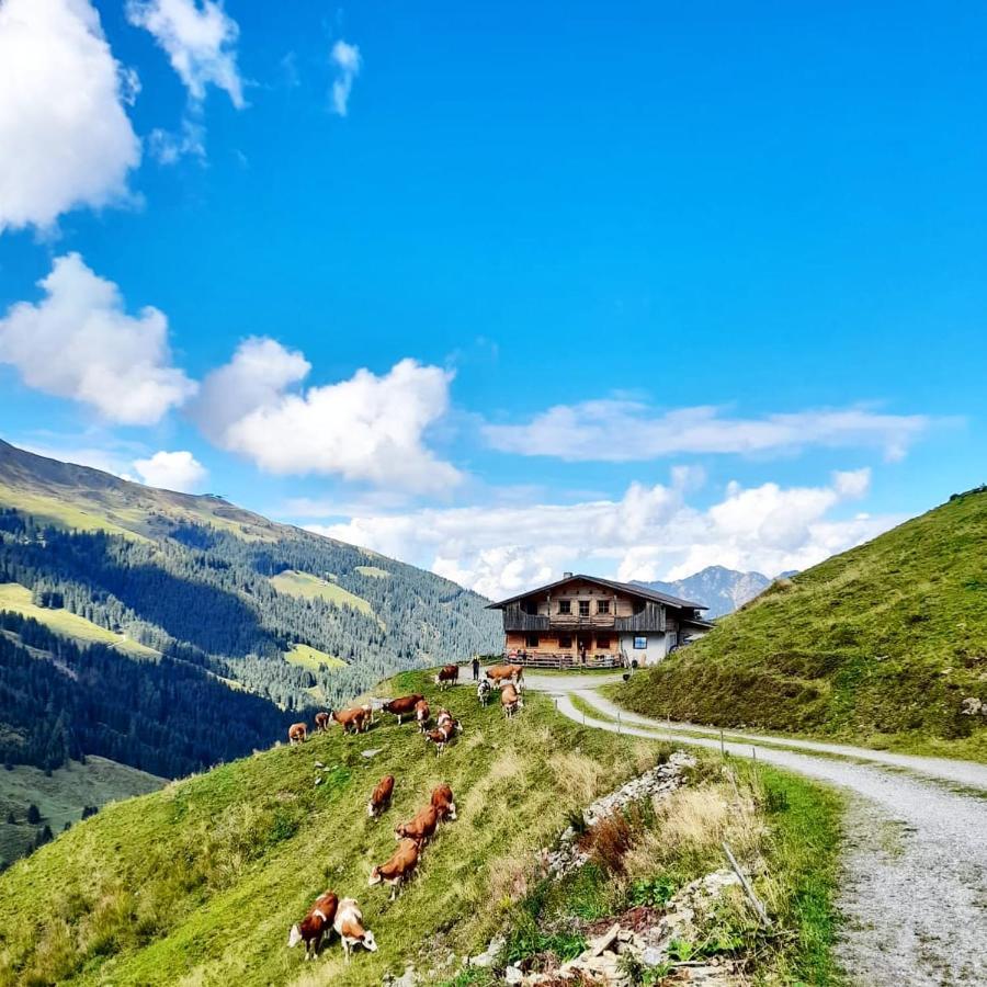Ferienwohnungen Lehenhof Alpbach Exteriér fotografie