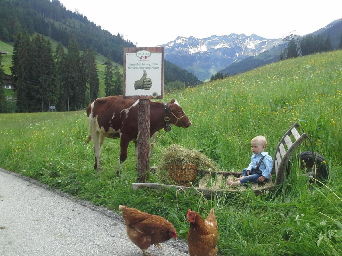 Ferienwohnungen Lehenhof Alpbach Exteriér fotografie