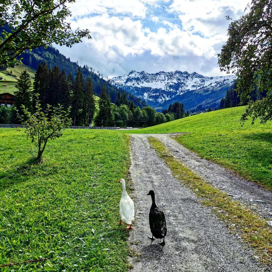 Ferienwohnungen Lehenhof Alpbach Exteriér fotografie