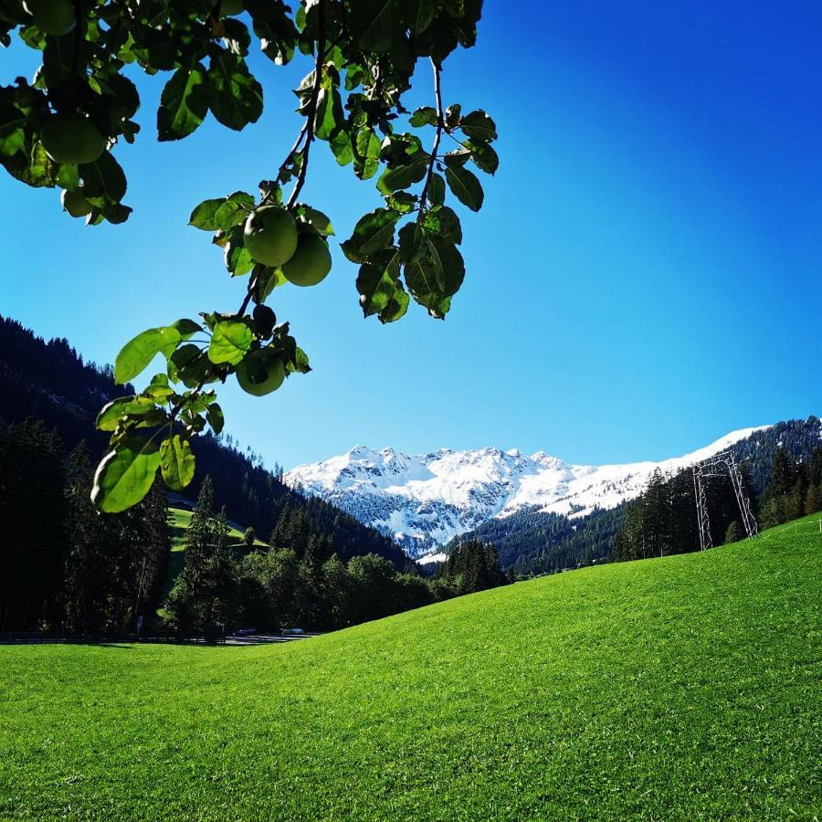 Ferienwohnungen Lehenhof Alpbach Exteriér fotografie