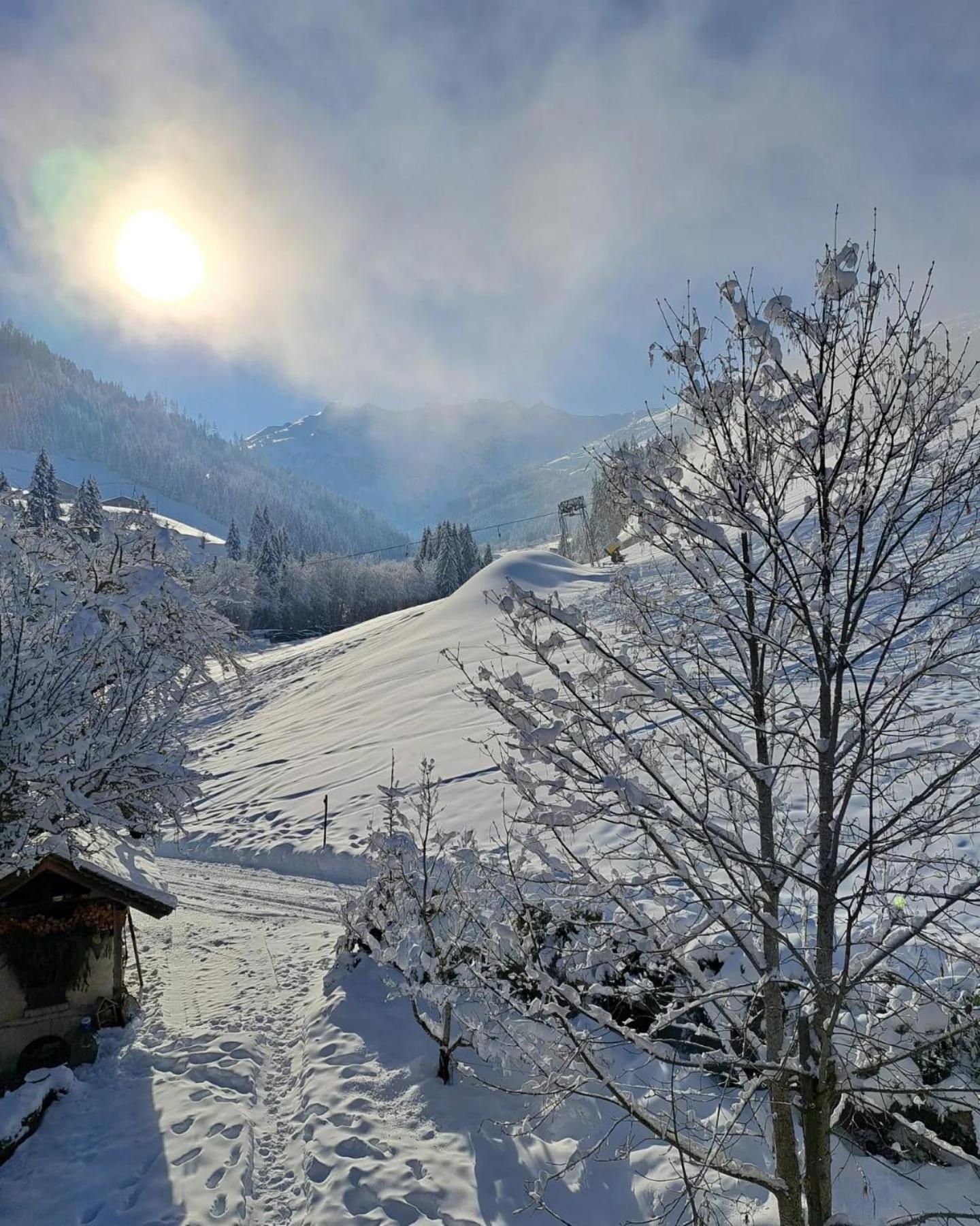 Ferienwohnungen Lehenhof Alpbach Exteriér fotografie